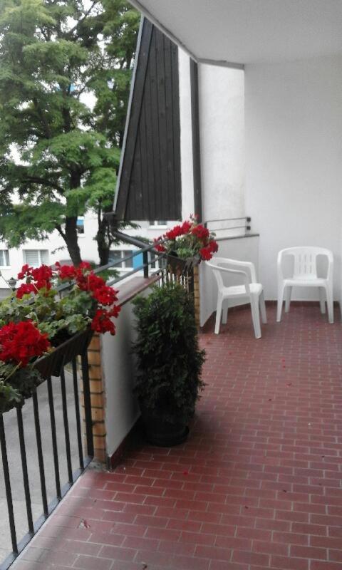 קולובז'ג Apartament Centrum מראה חיצוני תמונה